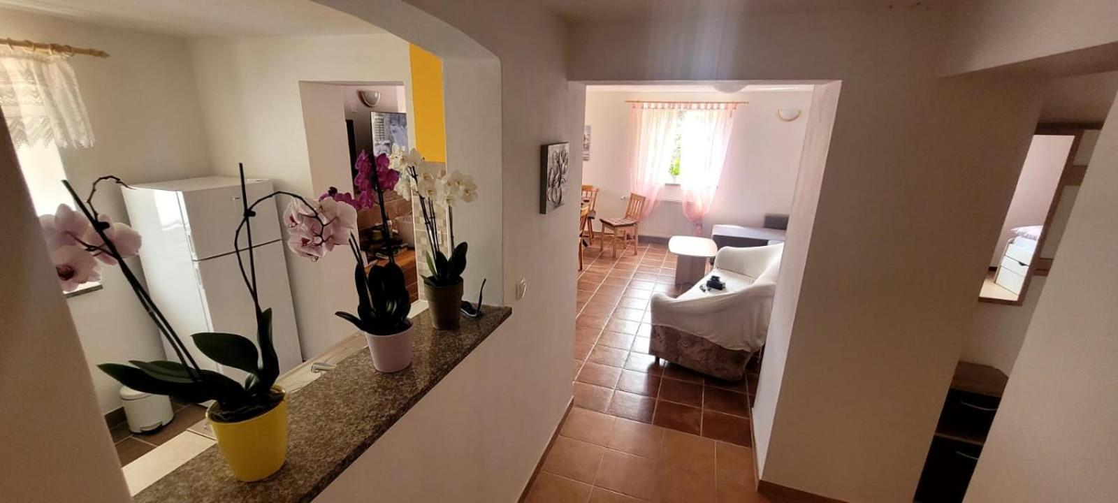 Apartma Brin Apartment Bovec